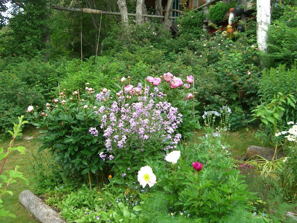 Brigitte'S Bavarian Bed Und Breakfast Millers Landing Exterior foto