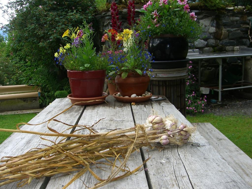 Brigitte'S Bavarian Bed Und Breakfast Millers Landing Exterior foto