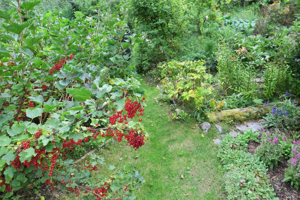 Brigitte'S Bavarian Bed Und Breakfast Millers Landing Exterior foto