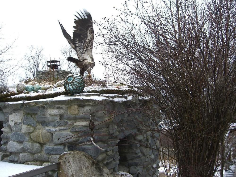 Brigitte'S Bavarian Bed Und Breakfast Millers Landing Exterior foto