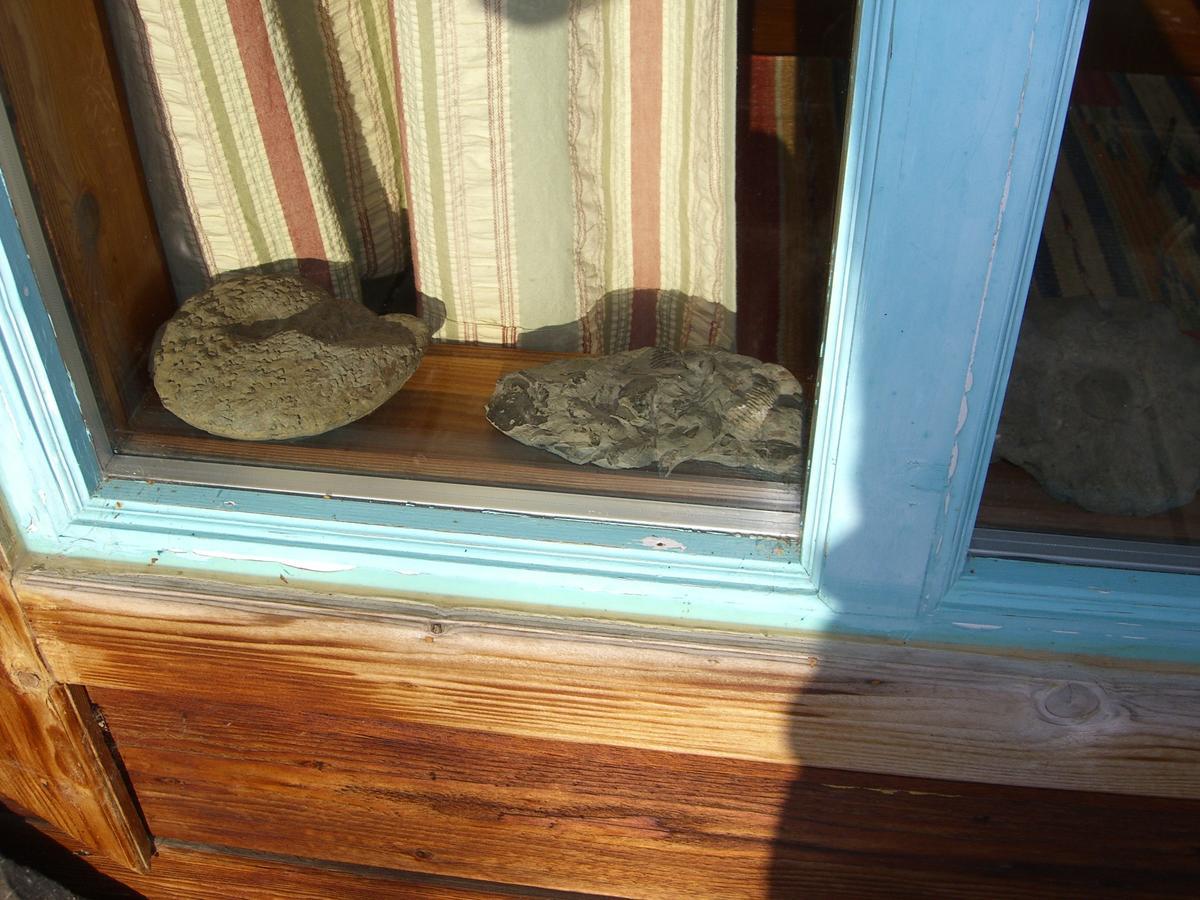 Brigitte'S Bavarian Bed Und Breakfast Millers Landing Exterior foto